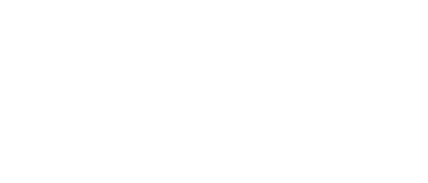 Aivo